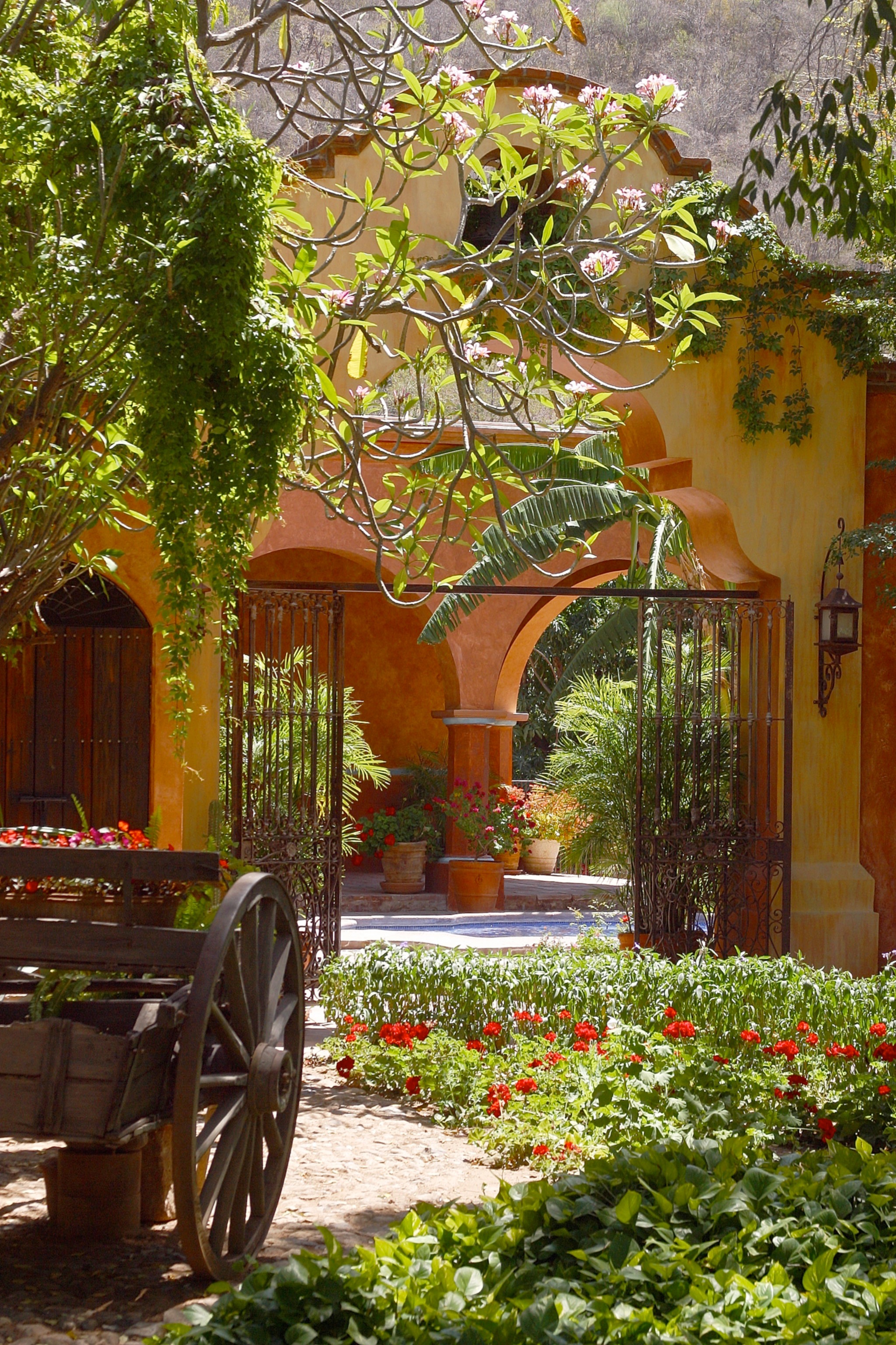Courtyard Gardens | Walls in Landscape Design